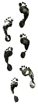 New To Real Estate Blogging? 6 Simple Steps to Get You Started.